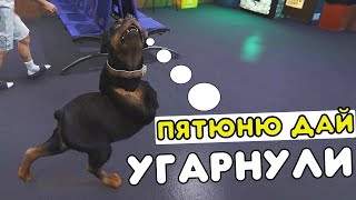 ПЯТЮНЮ ДАЙ! /УГАРНУЛИ!/ - RADMIR RP/GTA 5