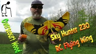 Sky Hunter 230 Radio Control Flying Wing Overscourt Wood 170423