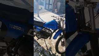 Sports Performance TS250Er