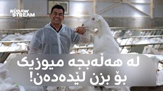 Made In Kurdistan- مەید ئین کوردستان- گەورەترین کارگەی هەڵەبجە: میوزیک بۆ بزن لێدەدەن!