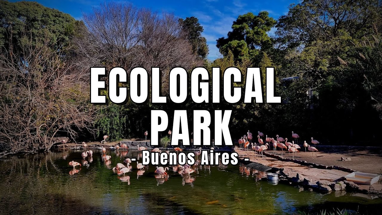 Ecological Park 🦩 in Buenos Aires
