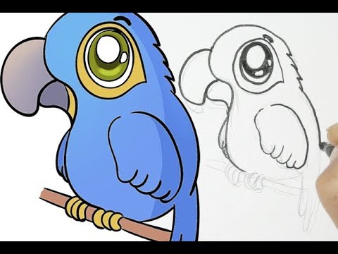 Como Dibujar Una Linda Guacamaya Youtube