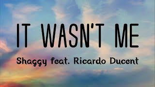 Shaggy - It Wasnt Me (lyrics video) HQ