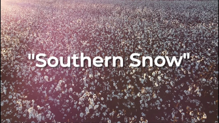 "Southern Snow" | November 2021| Fields of Cotton