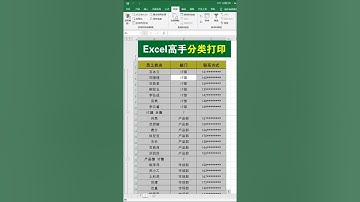 #excel 表格分类打印，高手是这么做的！#excel技巧 #办公技巧 #职场 #学习