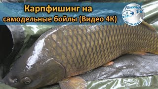 Карпфишинг на самодельные бойлы (Видео 4К)