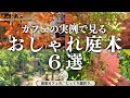 庭のオシャレはまず庭木から。庭カフェオーナーが選ぶ「今この庭木が好き６選」