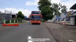 Tatu cover,bus sedya mulia