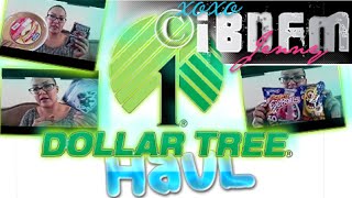 Dollar Tree Haul
