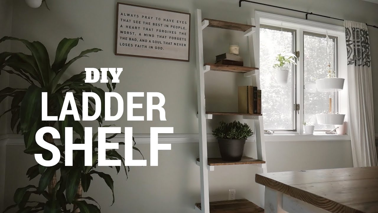 DIY $15 Ladder Shelf