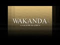 Black Panther Come To Wakanda Before Black Panther Come To Wakanda Before