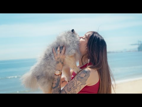 Desireé Martínez - Mañana brillará✨ (Videoclip Oficial)