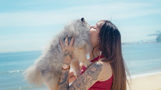 Desireé Martínez - Mañana brillará✨ (Videoclip Oficial)