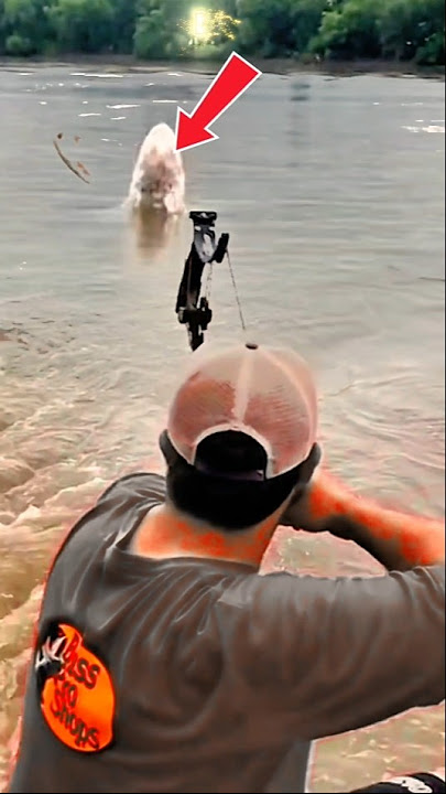 Atlet Panahan Mancing Dengan Alat Panahny ⁉️ Strike Ikan Besar #amazing #fishing #bigfish