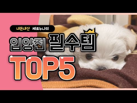 [내돈내산] 강아지 입양 전 필수 준비물 5가지!