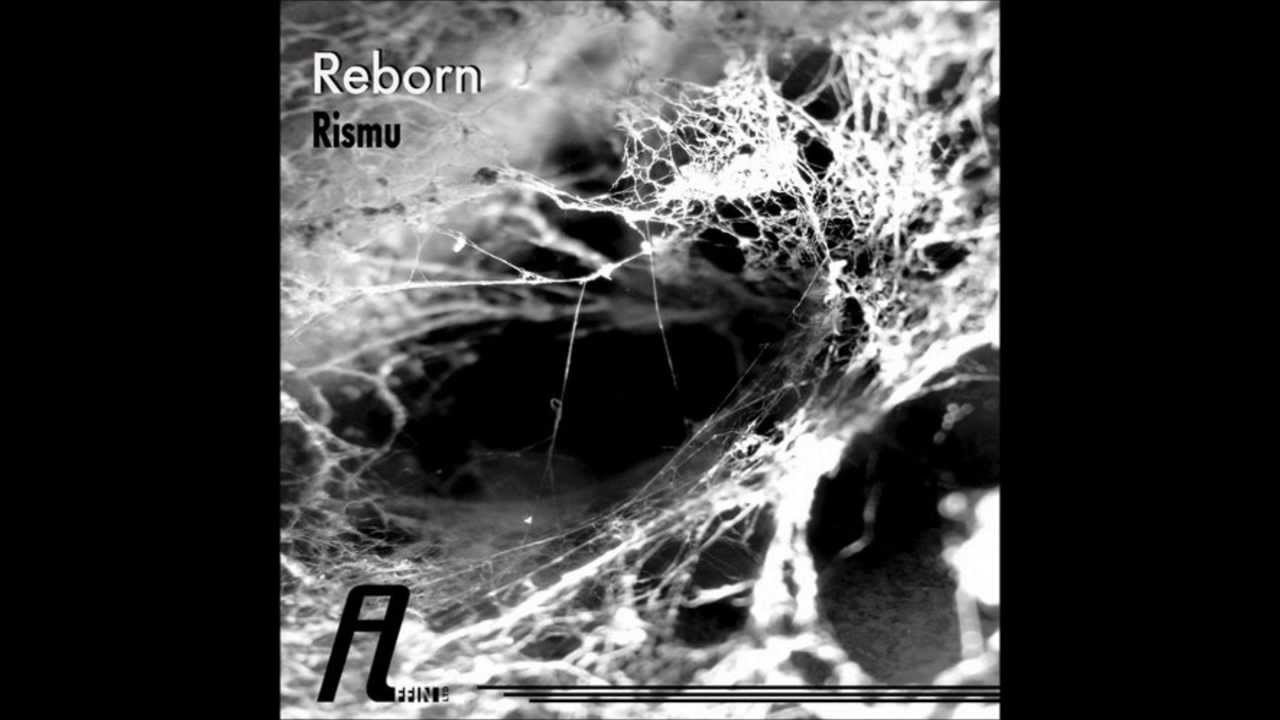 Rismu - Mst (The Plant Worker Remix) [Affin]