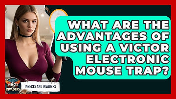 What Are The Advantages Of Using A Victor Electronic Mouse Trap? - Insects and Invaders