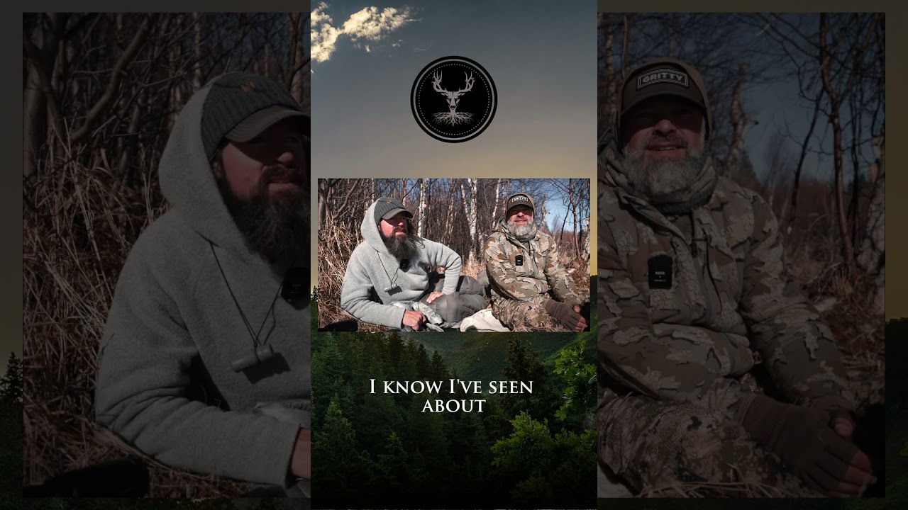 Incredible Morning  The Magic of Howling Wolves 