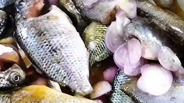 Cùng vào bếp làm cùng em món cá rô phi kho tiêu ăn với cơm nguội nhé