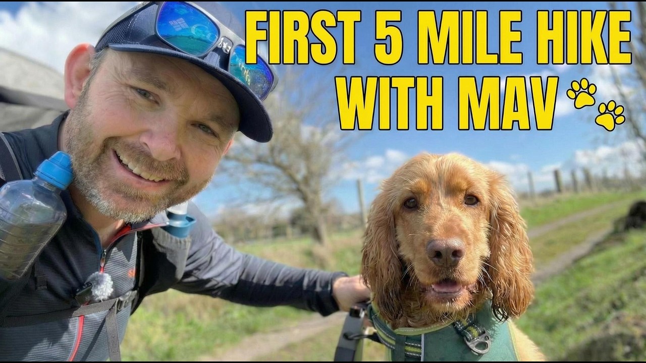 Mav's First Hike! Taking My Show Cocker Spaniel On A 5 Mile Walk For ...