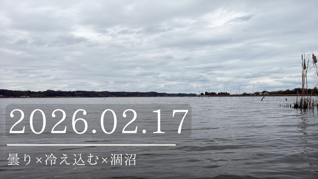2026.02.17曇り×冷え込む×涸沼