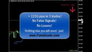 Forex X Code Review - Newest Forex Software Sept 2013