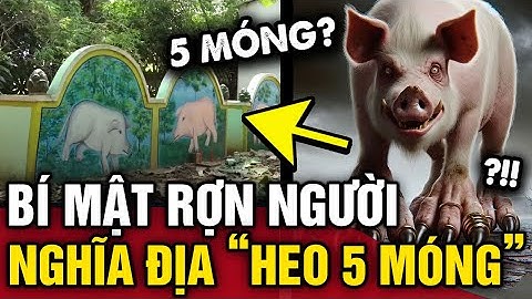 Bí ẩn RỢN NGƯỜI về những ngôi mộ heo và những giai thoại ly kỳ về HEO 5 MÓNG | Tin 3 Phút