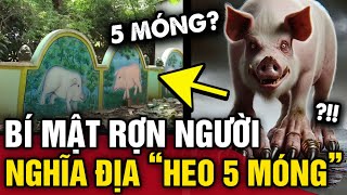 Bí ẩn RỢN NGƯỜI về những ngôi mộ heo và những giai thoại ly kỳ về HEO 5 MÓNG | Tin 3 Phút