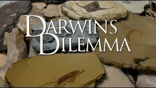 Darwins Dilemma - German