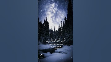 ( فصبر جميل عسى الله أن يأتيني بهم جميعا ) قران صوت جميل وهادء #قرآن #تلاوة #قران #سورة