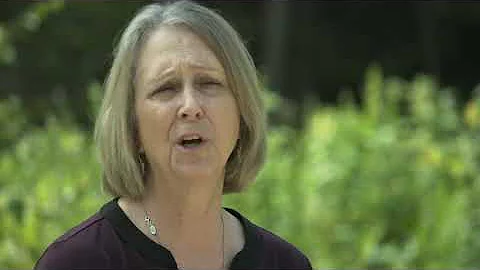 Mayor Shelley Hart