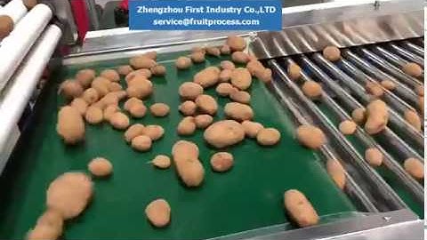 potato grader, potato grading machine, potato sorting equipment
