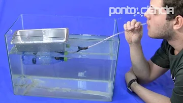 Qual o perigo se encontra no lastro dos navios?