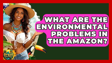 What Are The Environmental Problems In The Amazon? - Brazil Travel Expert
