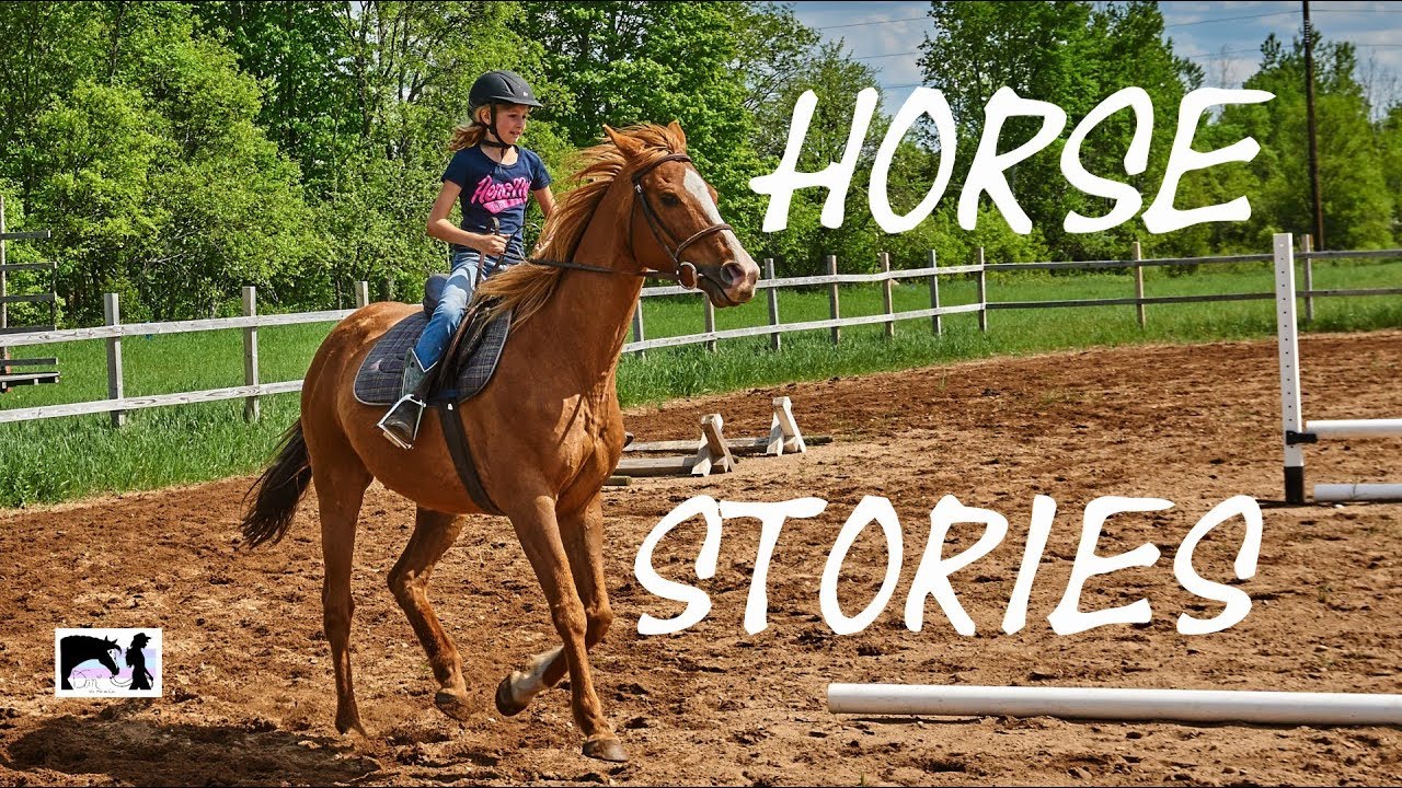 Special Horses. Horse story