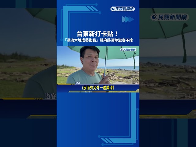 台東打卡新景點 "漂流木堆成藝術品"遊客盼原地保留－民視新聞