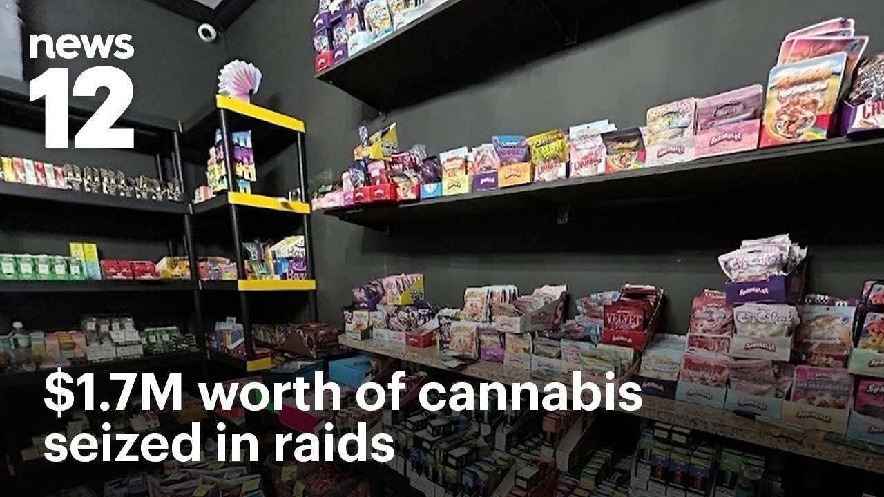 В табачной лавке в Бруклине во время облавы на каннабис на сумму 1,7 млн ​​долларов обнаружен сек...