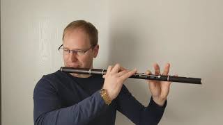 Humours of Lissadell Demo (Gabos 6 Keyed Flute)