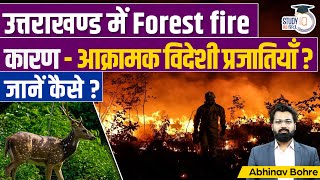 Invasive Alien Species - Responsible For Forest Fire In Uttarakhand | UPSC CSE | StudyIQ IAS Hindi