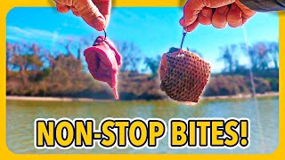 Store Bait VS Cut Bait, what catches more catfish ?