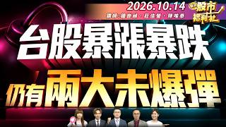 台股上漲是假的.外資殺瘋了!明日台積法說前.趕快這樣做!群創友達逃命波?台塑南亞成避險去處?║鐘崑禎、莊佳螢、陳唯泰║2026.10.14