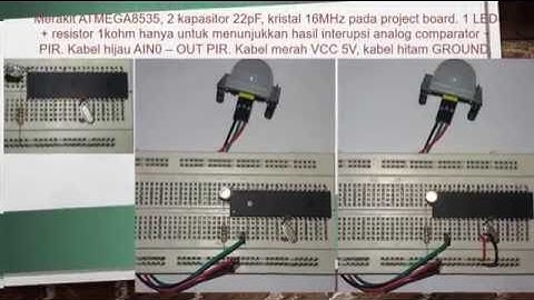 Part 24 Belajar Mikrokontroler ATMEGA + Interupsi Analog Comparator + PIR