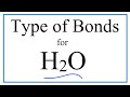 Water Molecule Bonding Concepts