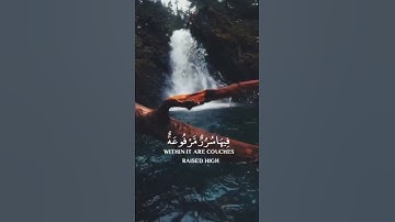 ﴿فيِ جَنَّةٍ عالِيَةٍ﴾ ❤️مقطع قصير من سورة الغاشيه😴🖤||تلاوة مؤثرة تريح الاعصاب🌿🤍
