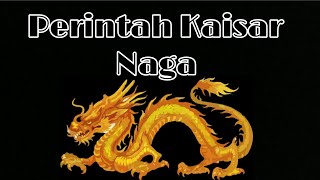 Perintah Kaisar Naga 3432, 3433, 3434, Binatang Buas Liger?!