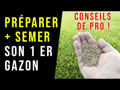 Préparer et Semer son GAZON : Les ERREURS à Éviter ! hqdefault