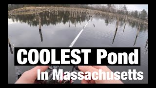 COOLEST Pond In Massachusetts screenshot 2