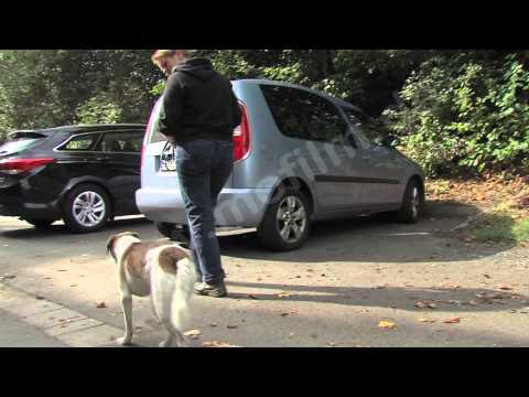 Video: Vorderbeindeformität Bei Hunden