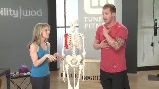 Refine Your Spine for Pain Free Performance | Treat While You Train | Tune Up Fitness