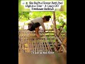 She Built a Flower Bath Pool High in a Tree- A Crazy DIY Treehouse Bathtub#TreehouseBathtub #foryou